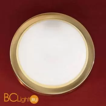 Настенно-потолочный светильник Orion Leuchten NU 9-365/26 MS-matt